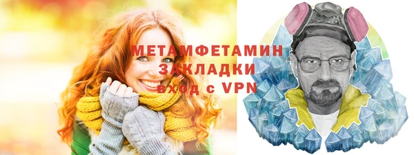 индика Богородицк